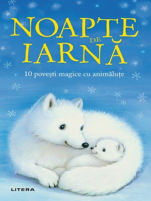 cover image of Noapte De Iarnă
